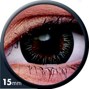 BigEyes Enchanter Grey (3-Monatslinse) (1x2)