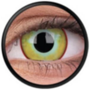 Yellow Plague (Jahreslinse) (2 Stk.)