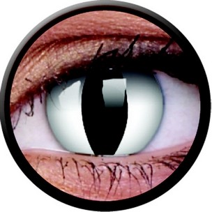 Viper (Jahreslinse) (2 Stk.)