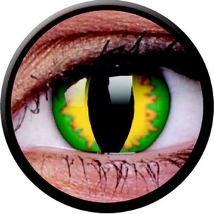 Green Dragon (Jahreslinse) (2 Stk.)