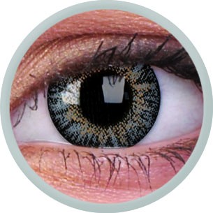 TruBlends Grey (Tageslinse) (1x2)