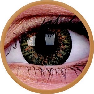 TruBlends Brown (Tageslinse) (10 Stk.)